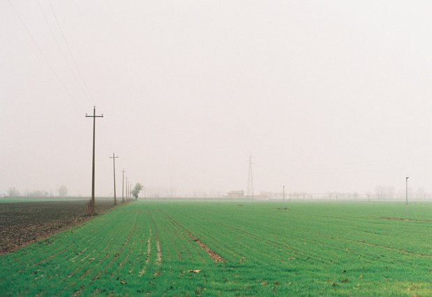 Foggy rural landscape